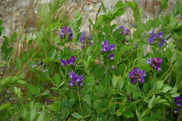 f0268294_23231353.jpg