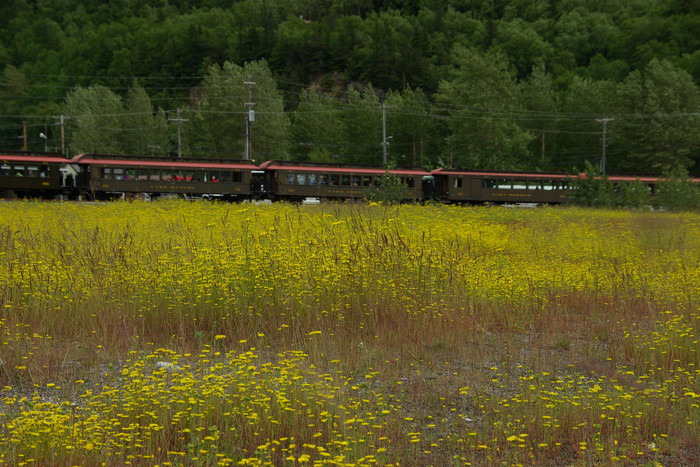 f0268294_23233289.jpg