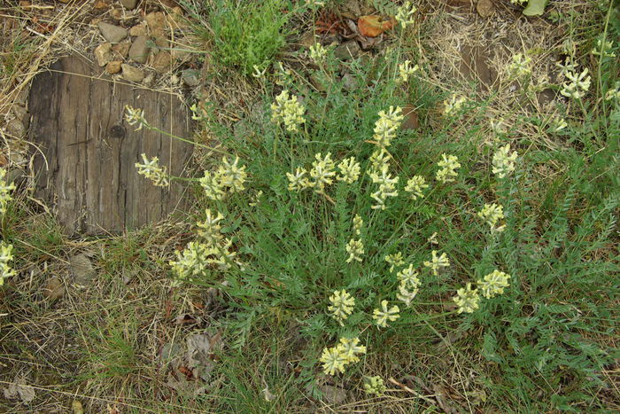 f0268294_23242997.jpg