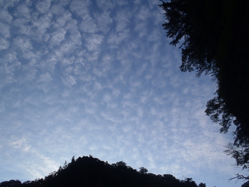 c0147398_0105853.jpg