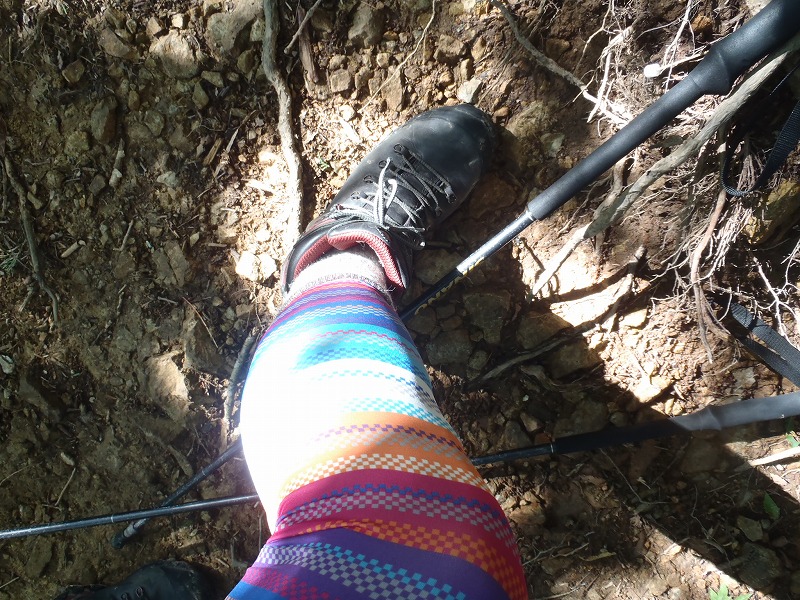 c0147398_0132313.jpg