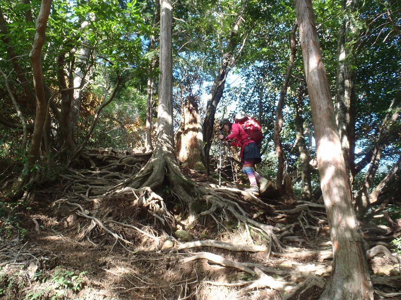 c0147398_013765.jpg