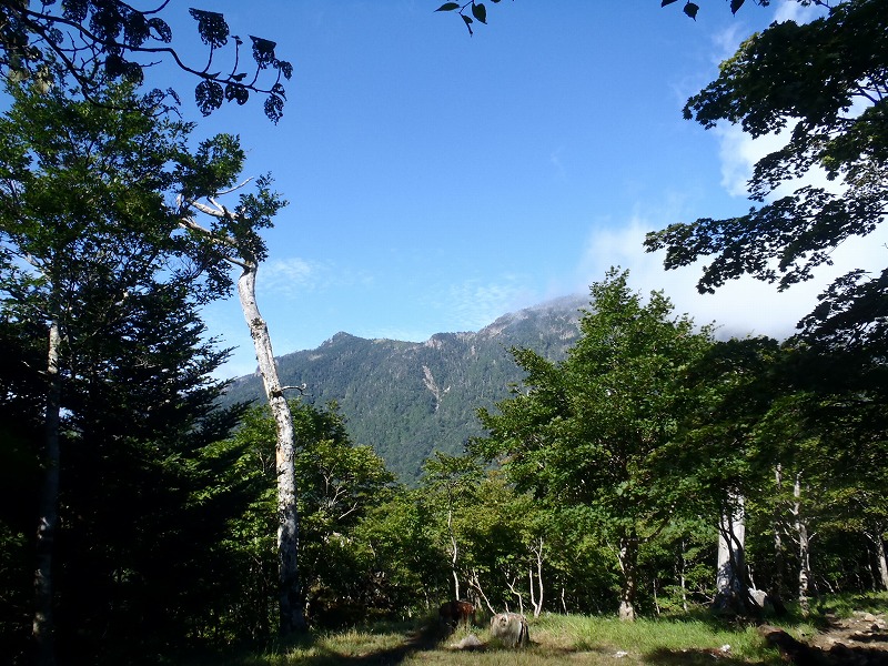c0147398_0141685.jpg