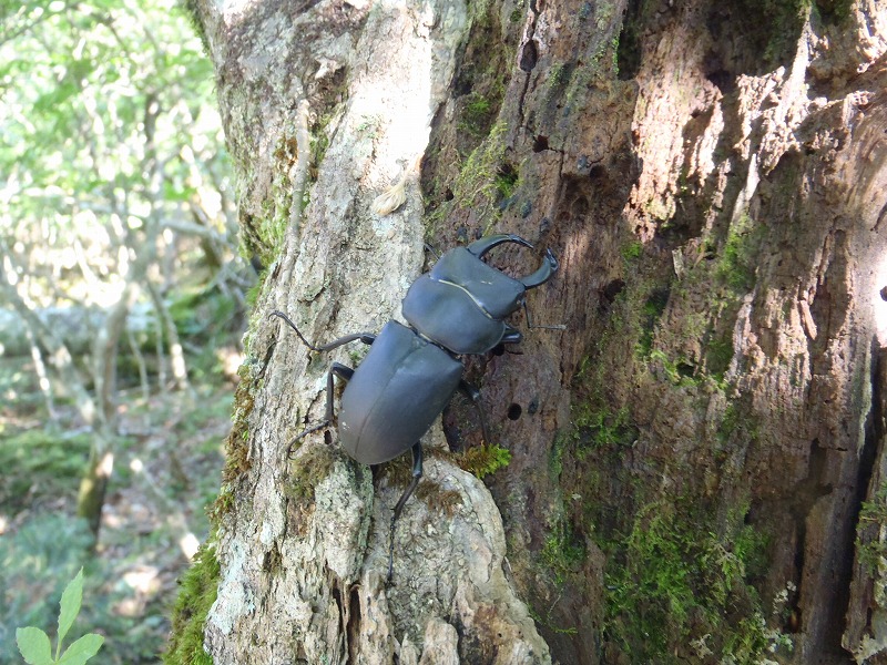 c0147398_014534.jpg
