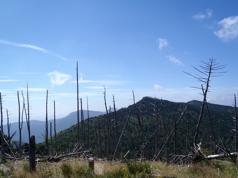 c0147398_0161331.jpg