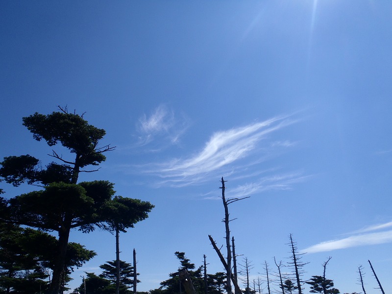 c0147398_0162037.jpg