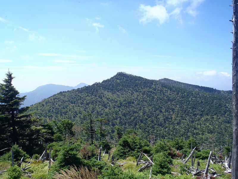 c0147398_0163211.jpg