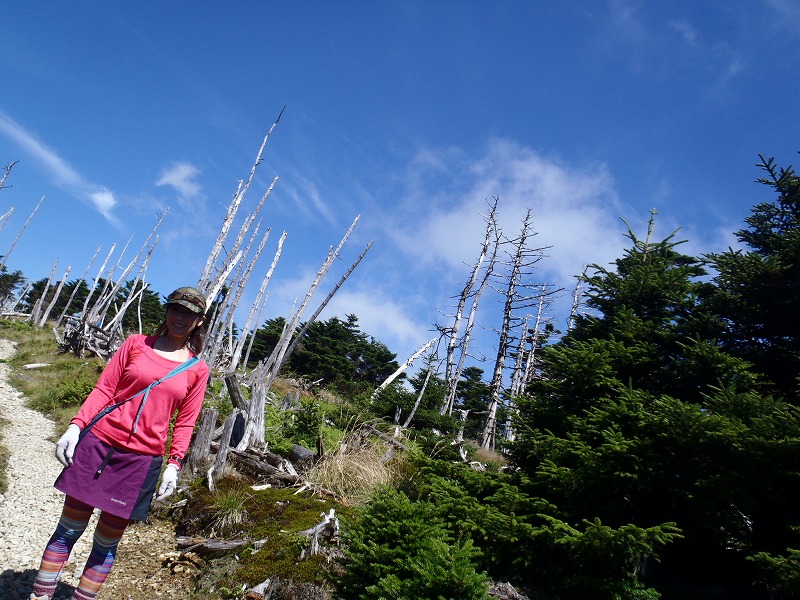 c0147398_0165836.jpg