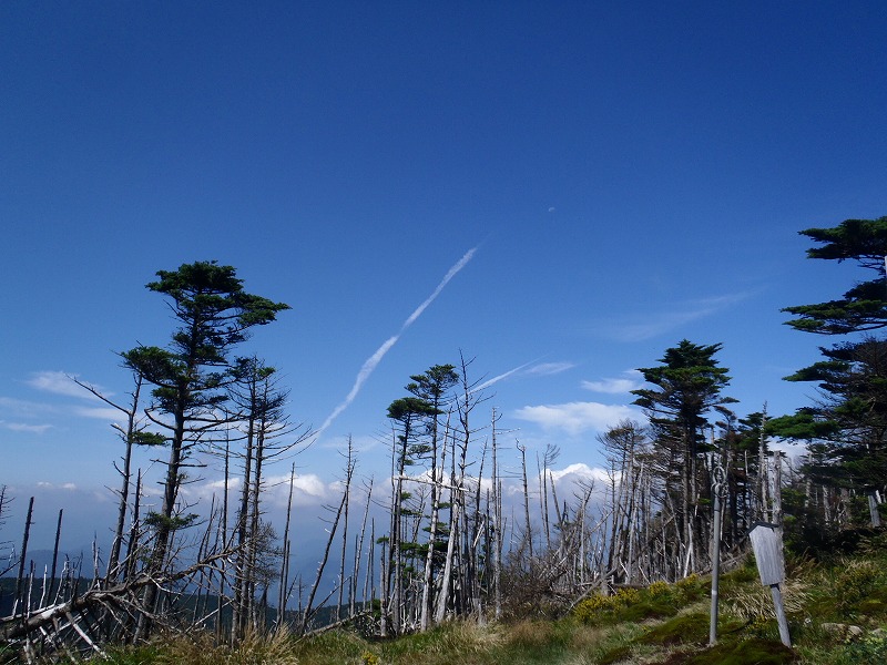 c0147398_016725.jpg