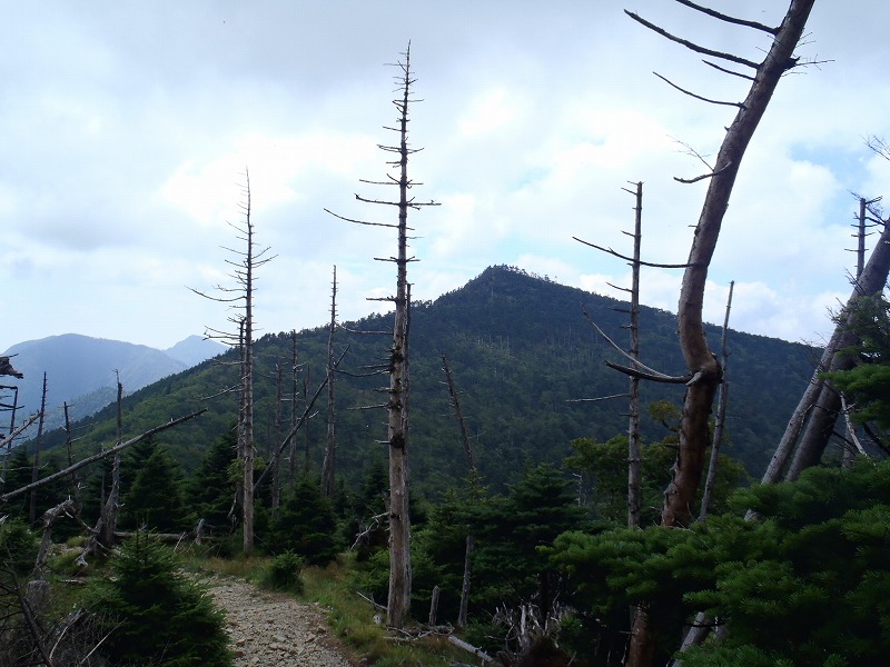 c0147398_0173591.jpg