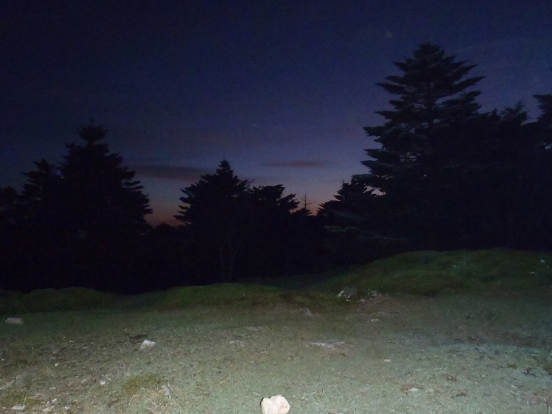 c0147398_0214087.jpg