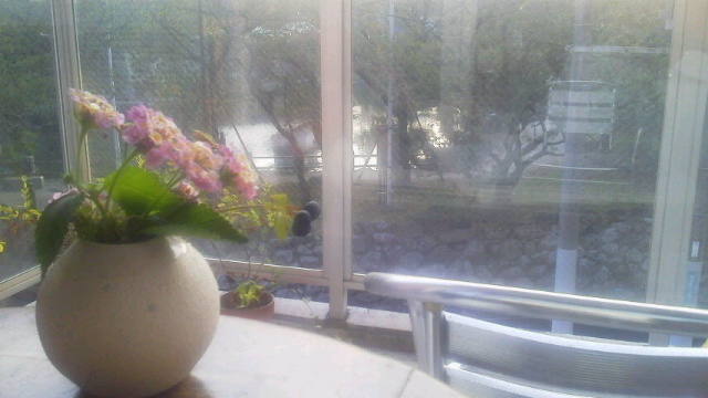 b0193708_23302644.jpg