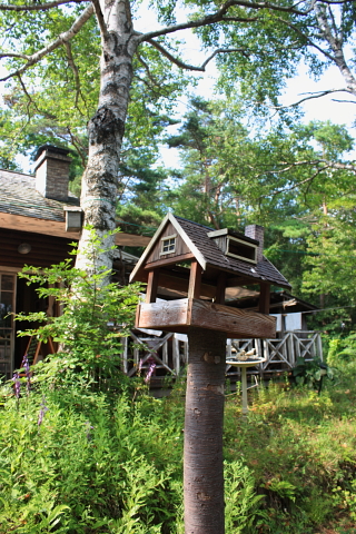 d0077811_2341270.jpg