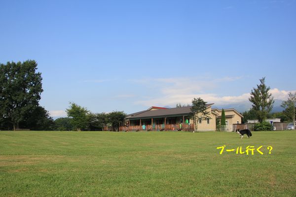 d0224111_17184849.jpg