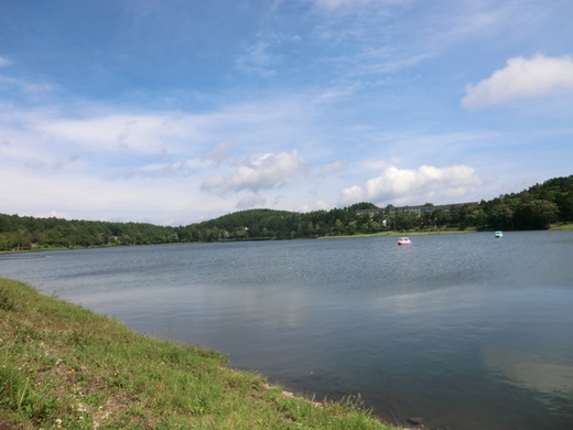 d0221319_19483620.jpg
