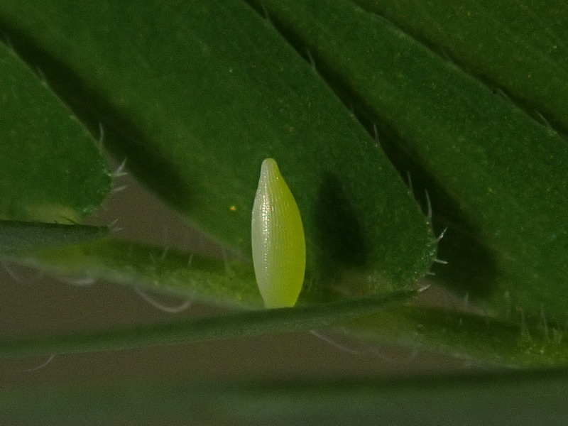 d0090322_10513683.jpg