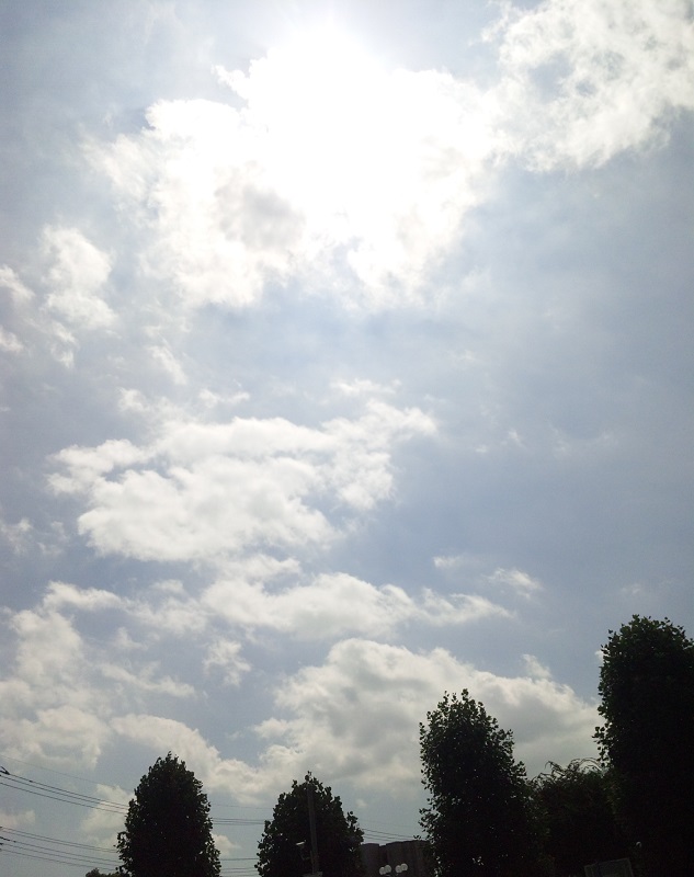 b0199924_17582929.jpg