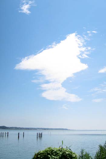 f0147025_1873943.jpg