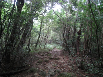 c0077338_1710570.jpg