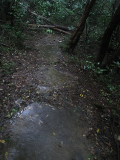 c0077338_1711033.jpg