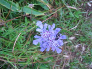 c0077338_1723468.jpg