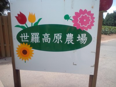 c0307941_23235550.jpg