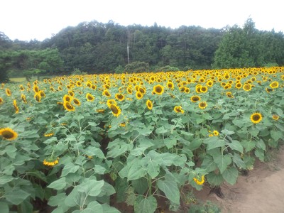 c0307941_2327329.jpg