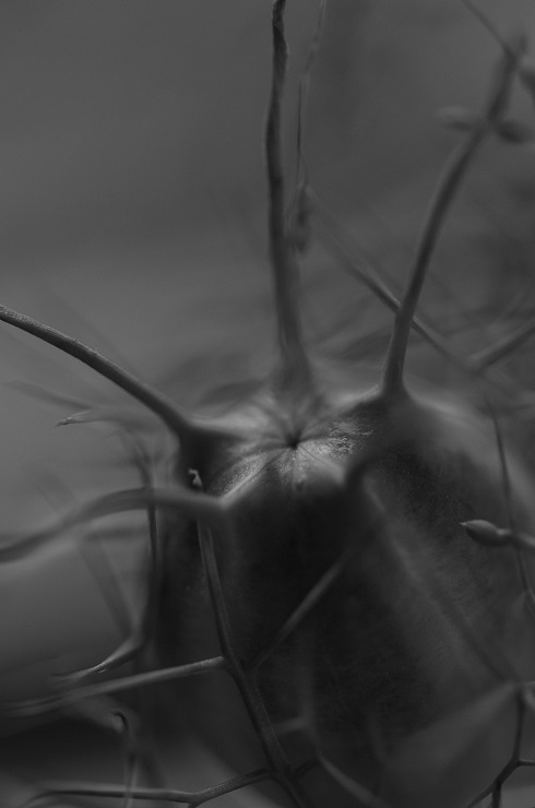 d0165741_14564530.jpg