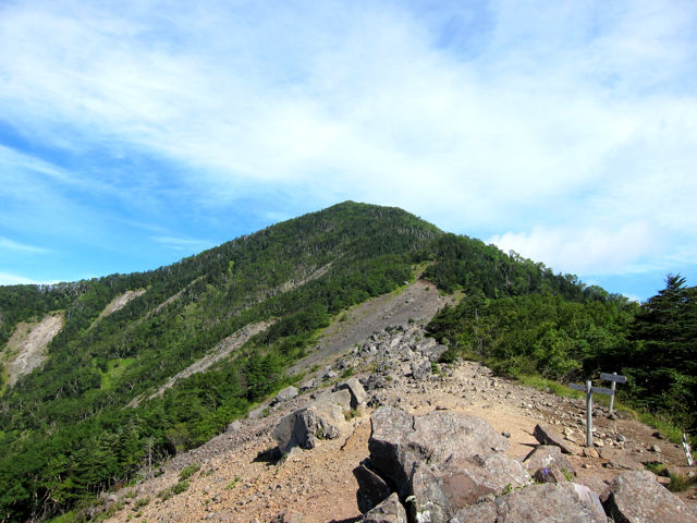 b0167343_15391169.jpg