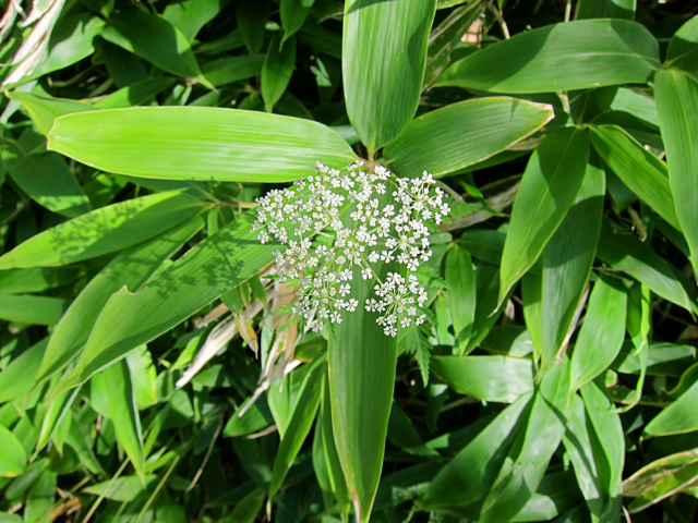 b0167343_15412287.jpg