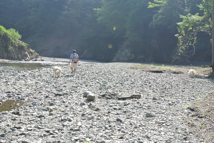 e0121548_11351090.jpg