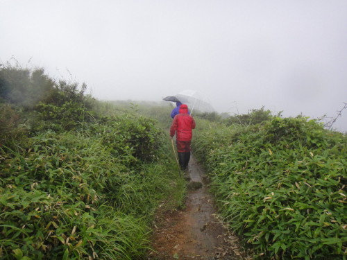 c0179351_20271948.jpg