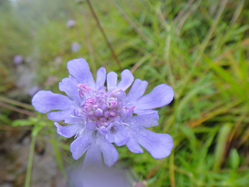 c0179351_20275796.jpg