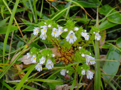 c0179351_20282887.jpg