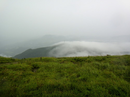 c0179351_20291862.jpg