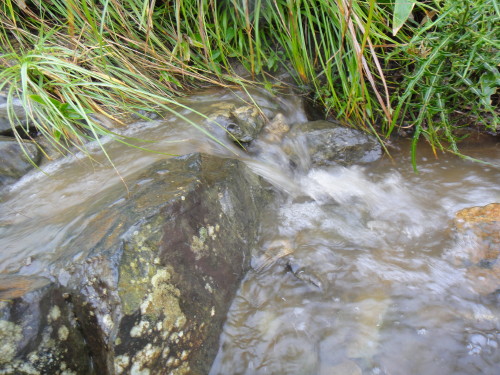 c0179351_20302692.jpg