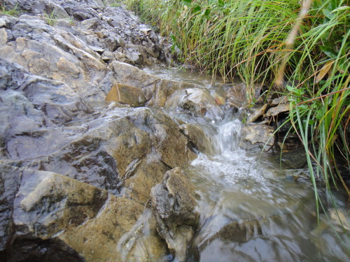 c0179351_2031494.jpg