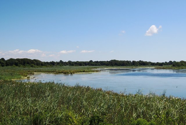 b0173754_0135224.jpg