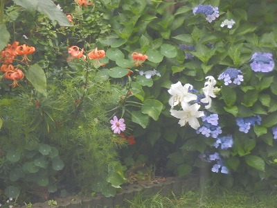 e0004756_2011831.jpg