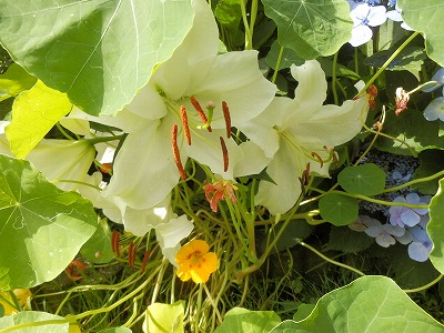 e0004756_20123367.jpg