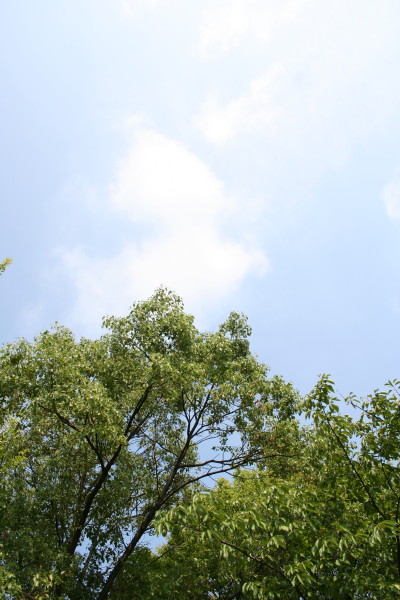 b0092958_10464034.jpg