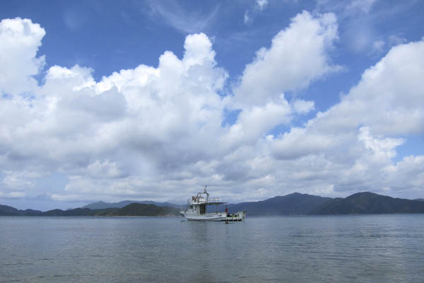 b0062363_18151011.jpg