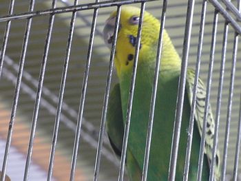 f0196665_1656980.jpg