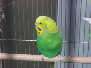 f0196665_17162093.jpg
