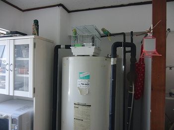 f0196665_17523798.jpg