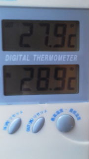 f0014766_14425528.jpg