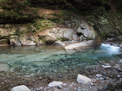 c0144868_1505865.jpg