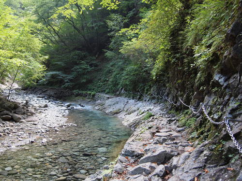 c0144868_1514232.jpg