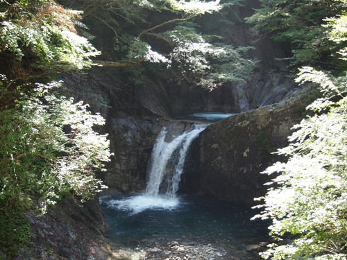 c0144868_1553122.jpg
