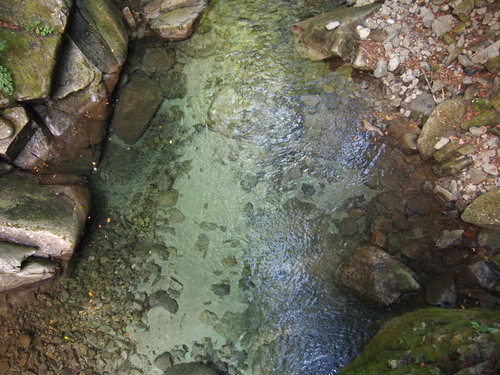 c0144868_204481.jpg